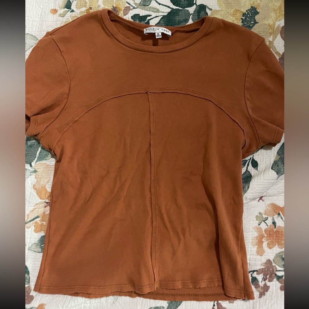 Burnt orange basic cropped tee